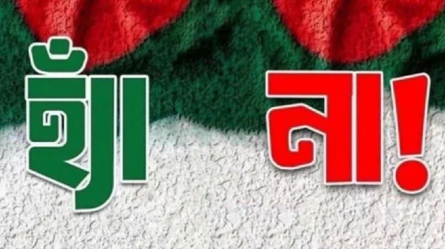 gonov_original_1770945071